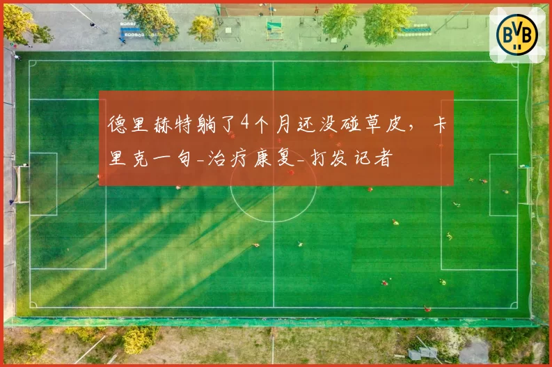 德里赫特躺了4个月还没碰草皮,卡里克一句_治疗康复_打发记者